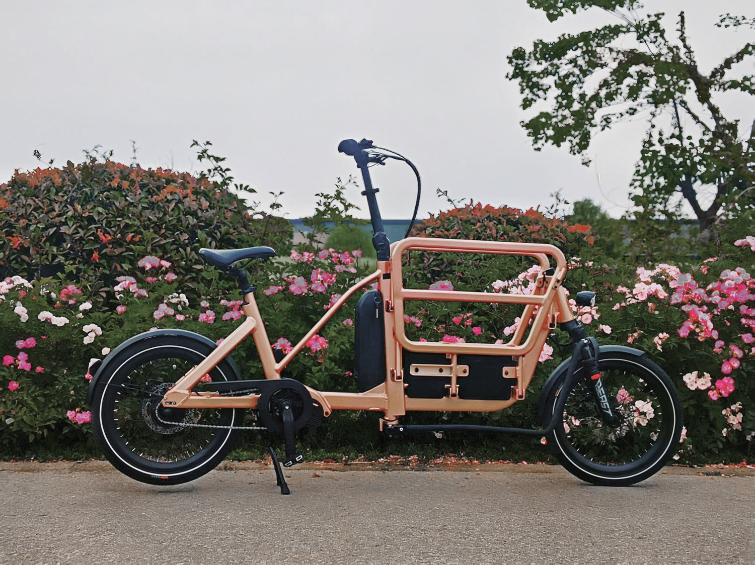 Cargo Bikes: Are They Really Worth It?