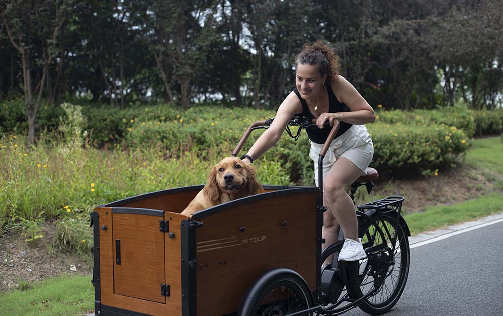 babboe dog electric cargo bike