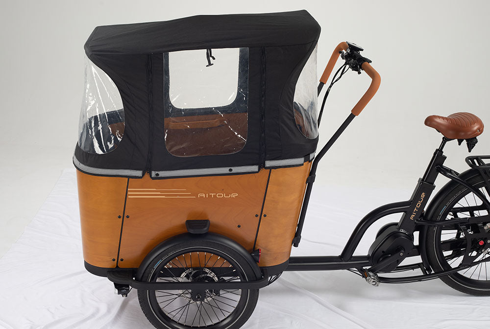 Pushing Limits: How eCargo Bikes Are Redefining Performance Standards