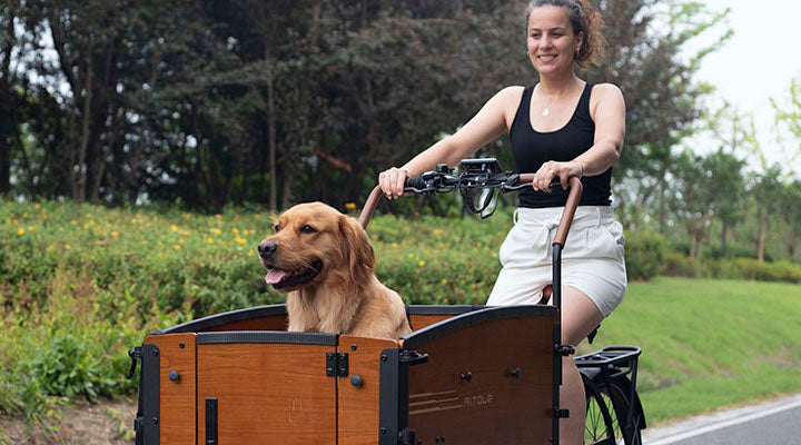 What Are The Best Cargo Bikes To Carry Dogs?