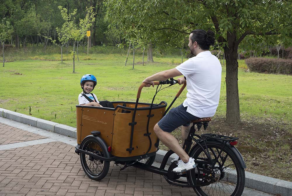 Where Can I Buy the Most Affordable Electric Cargo Bike?