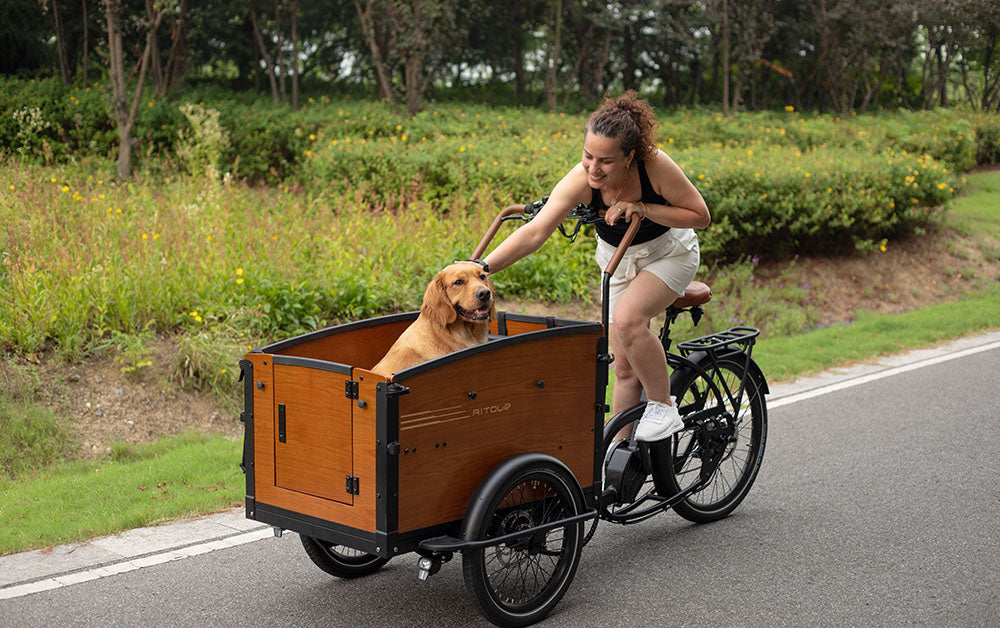 Cargo Bikes vs. Traditional Delivery Vans: A Comparative Analysis