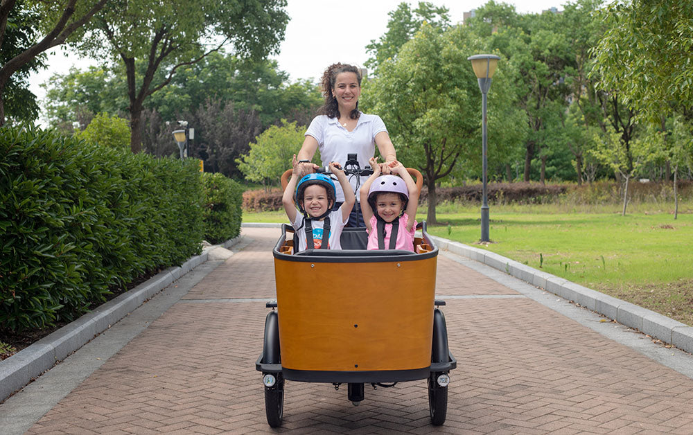 What Cargo Bike Should You Choose?