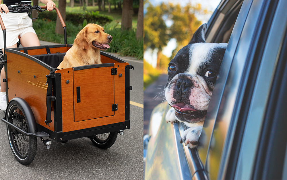 Cargo Bikes vs. Cars: Which is Better for Urban Transportation?